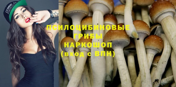 a pvp Надым