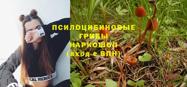 a pvp Надым