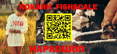 гидропоника Камышлов