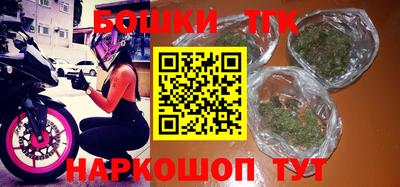 гидропоника Камышлов