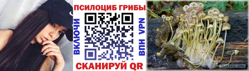 Псилоцибиновые грибы Psilocybe  Нововоронеж 