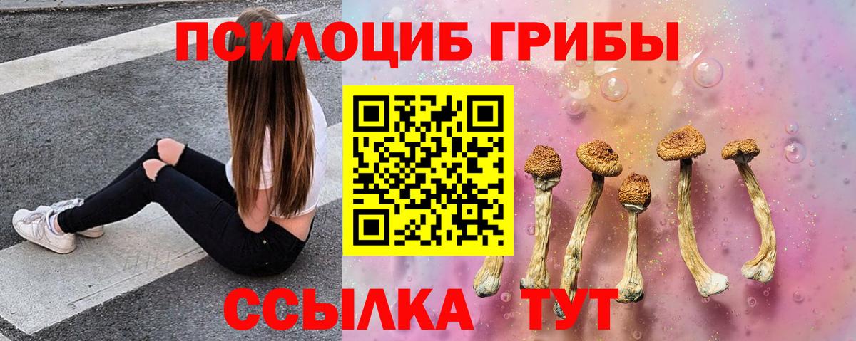 Галлюциногенные грибы Cubensis Нововоронеж