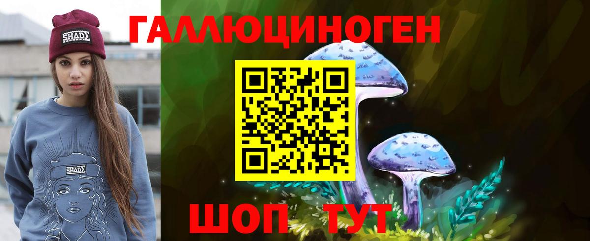 Нововоронеж  Галлюциногенные грибы ЛСД  Вход с VPN 